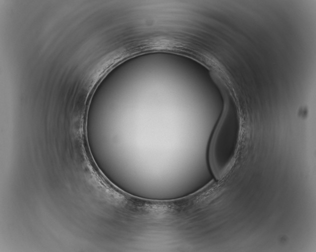 X0000115430946200911181457