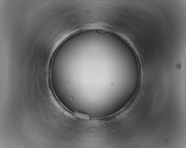 X0000115430949200911181458