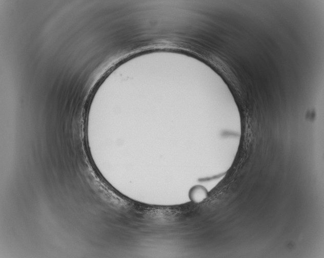 X0000115430950200911181458