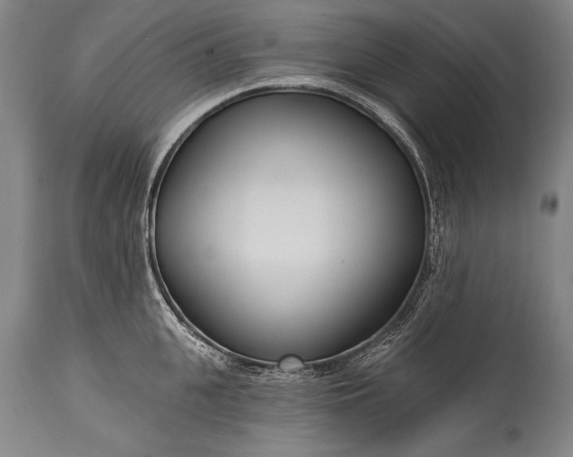 X0000115430951200911181458