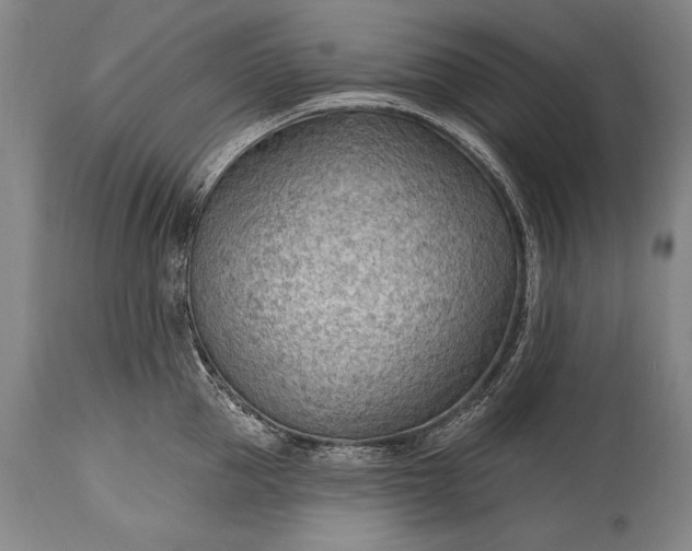 X0000115430953200911181458