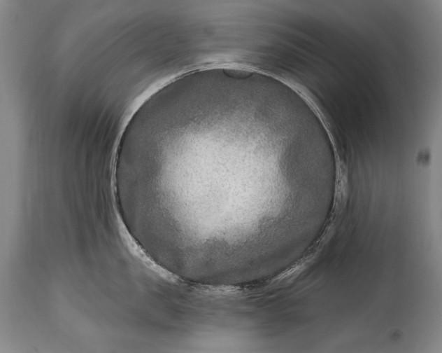 X0000115430957200911181458