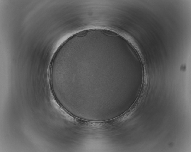 X0000115430958200911181458