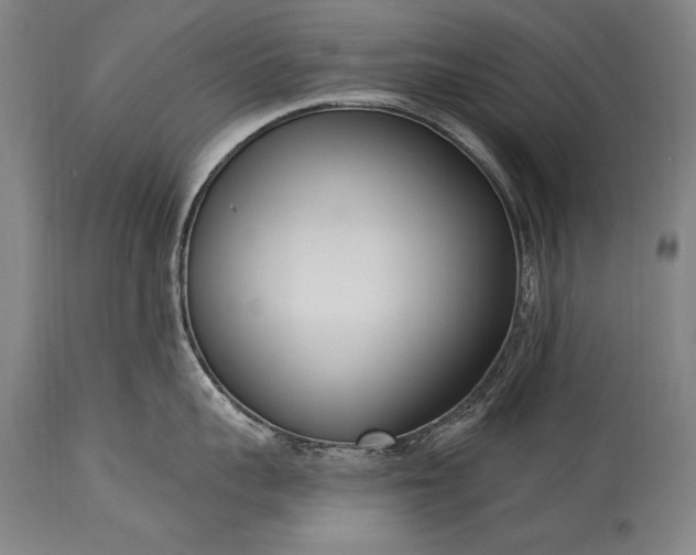 X0000115430959200911181458