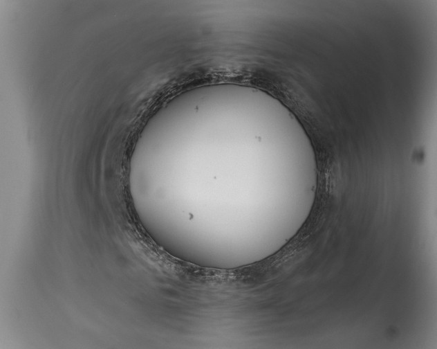 X0000115430961200911181457