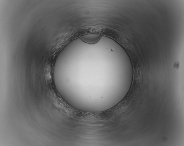 X0000115430962200911181457