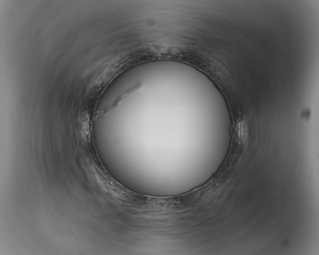 X0000115430963200911181457