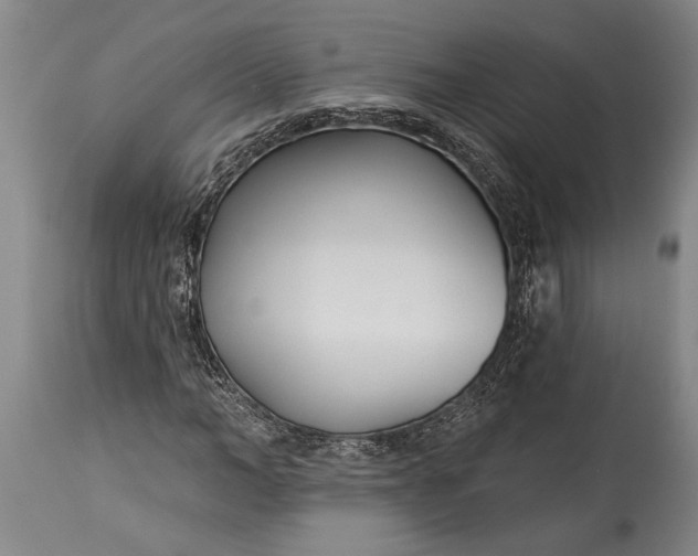 X0000115430966200911181457