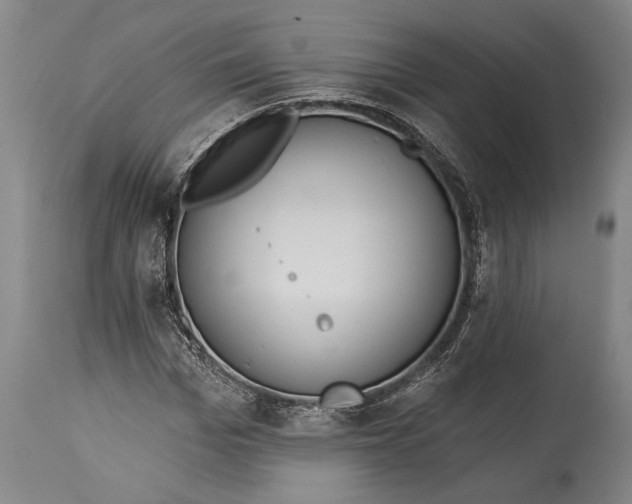 X0000115430969200911181457