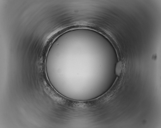 X0000115430971200911181457