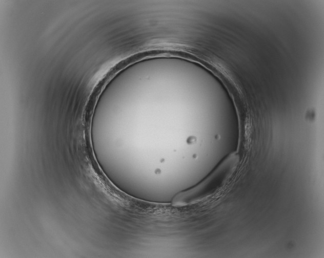 X0000115430972200911181457