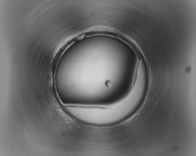 X0000115430973200911181457