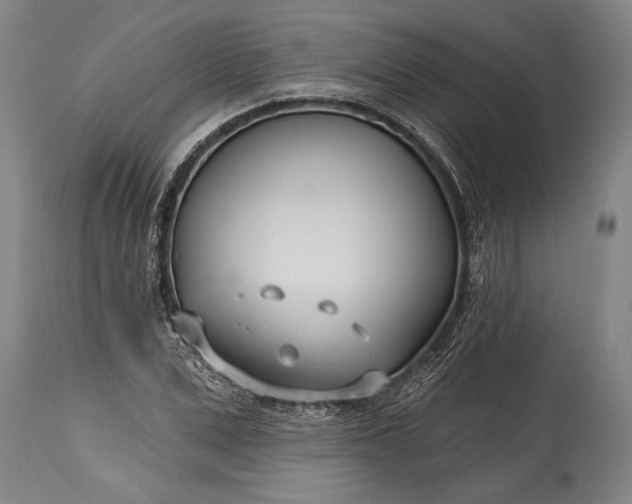 X0000115430975200911181457