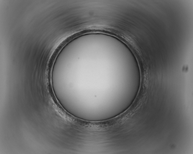 X0000115430976200911181457