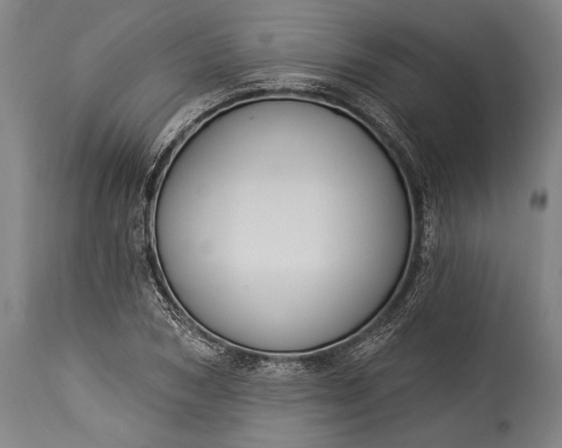 X0000115430978200911181457