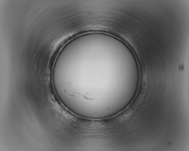 X0000115430979200911181457