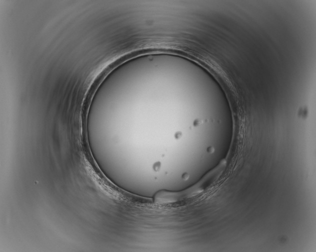 X0000115430980200911181457