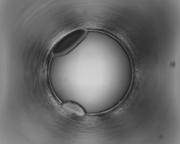 X0000115430981200911181457