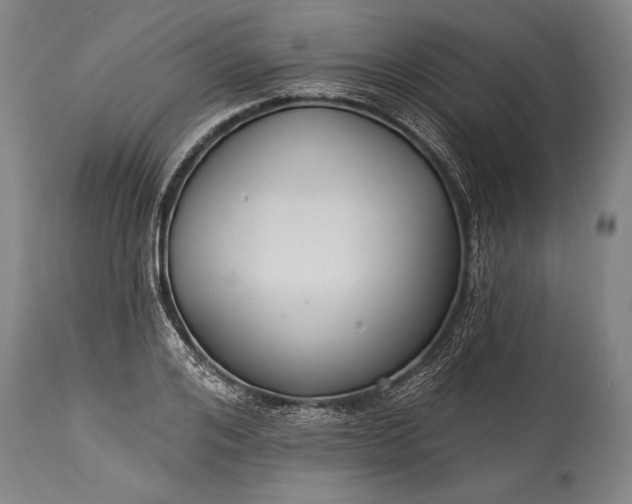 X0000115430984200911181457