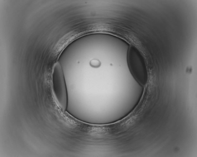 X0000115430985200911181457