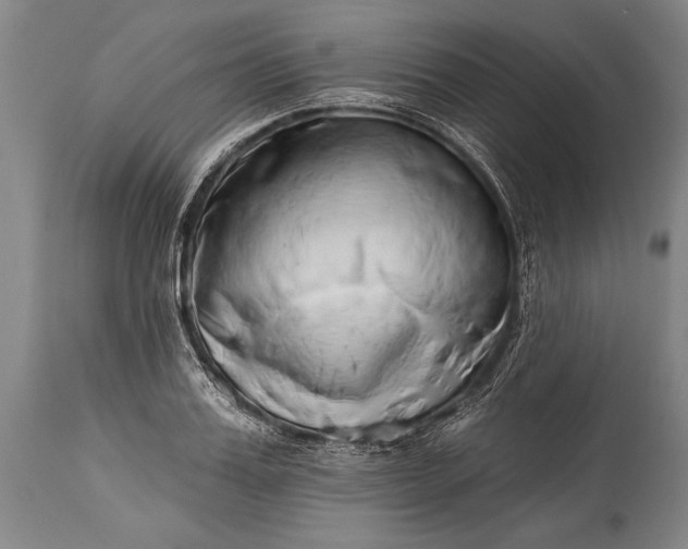 X0000115430987200911181457