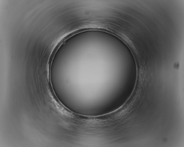 X0000115430988200911181456