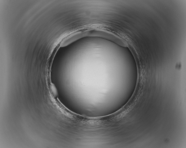 X0000115430989200911181456