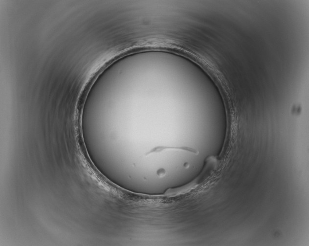 X0000115430990200911181456