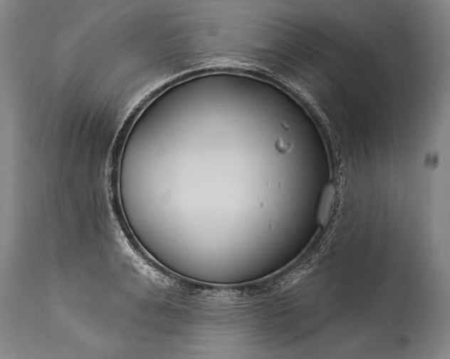 X0000115430991200911181456