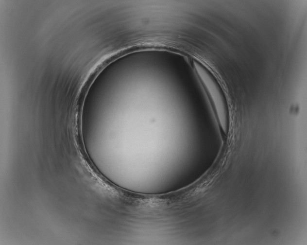 X0000115430992200911181456