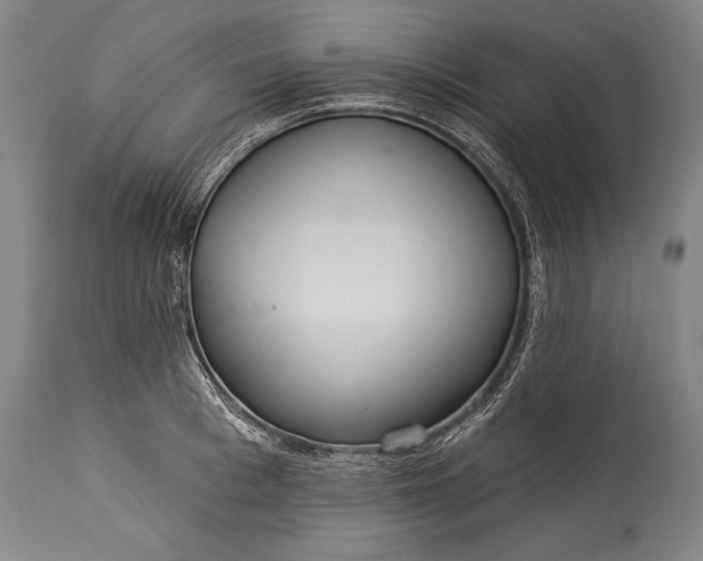 X0000115430993200911181456