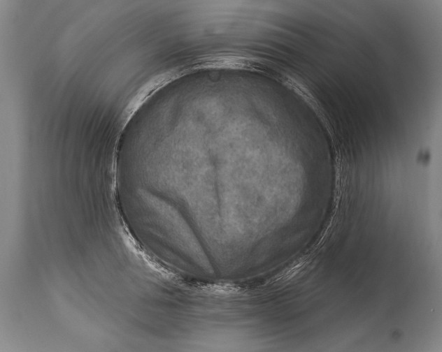 X0000115430994200911181456