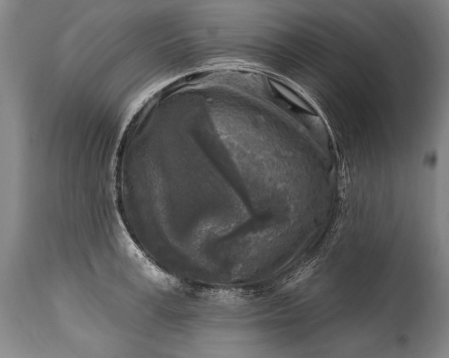 X0000115430995200911181456