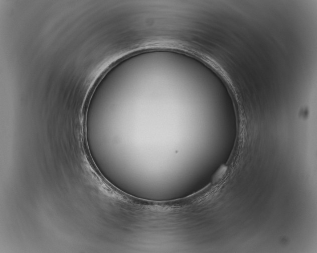 X0000115430996200911181456