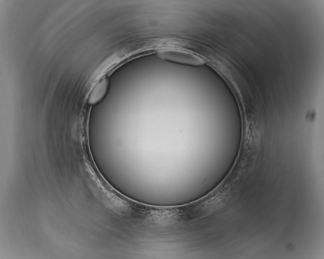 X0000115430997200911181456