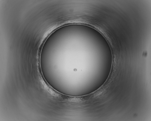 X0000115430998200911181456