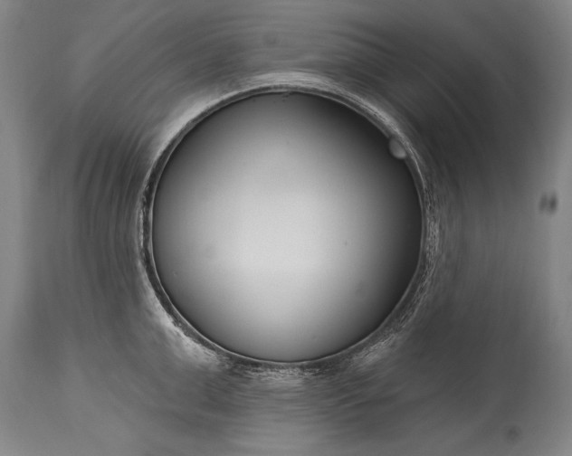 X0000115430999200911181456