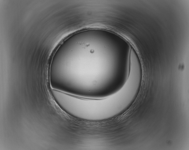 X0000115431000200911181456