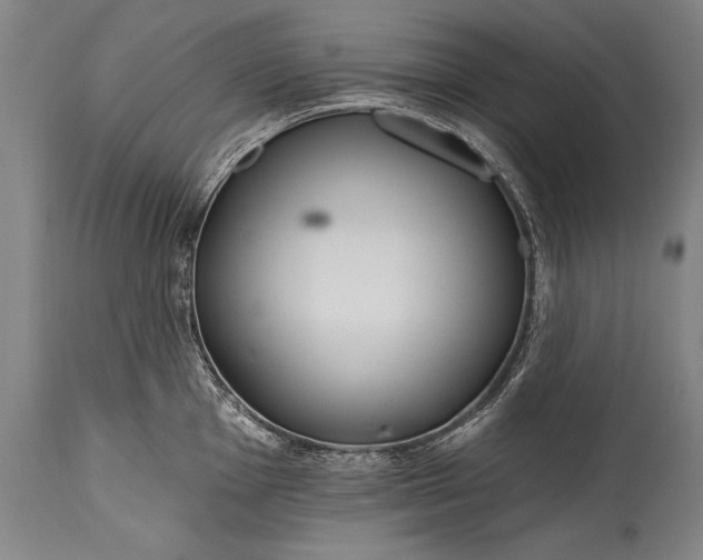 X0000115431001200911181456