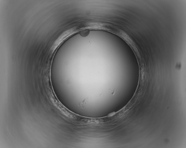 X0000115431002200911181456