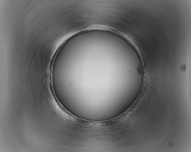 X0000115431003200911181456