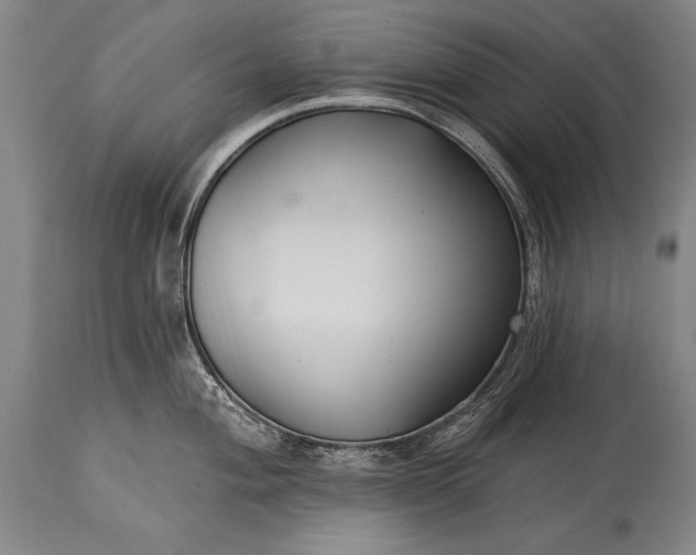 X0000115431004200911181456