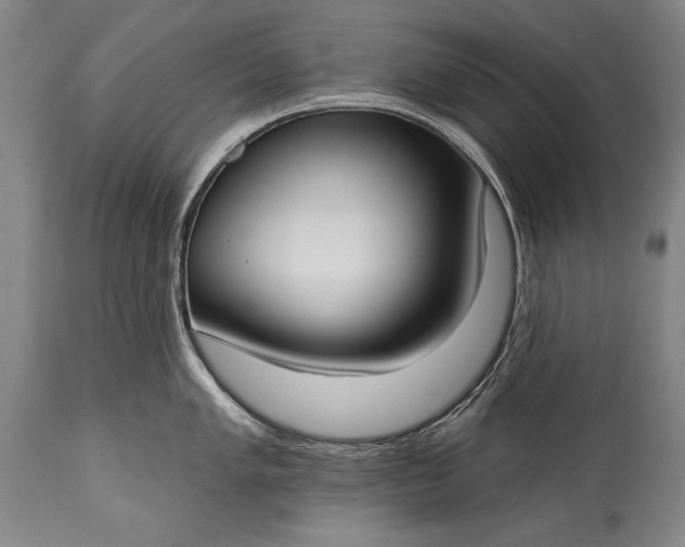 X0000115431005200911181456