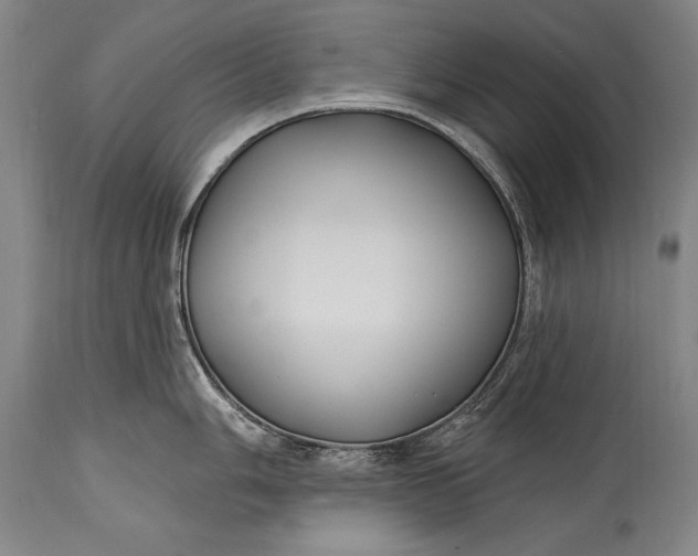 X0000115431006200911181456