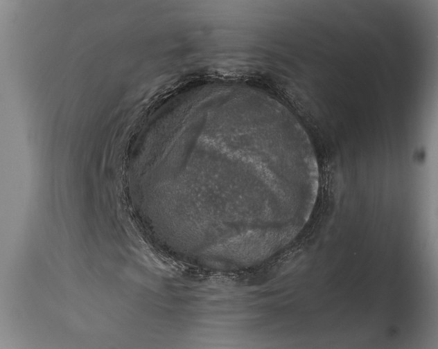 X0000115431009200911181455