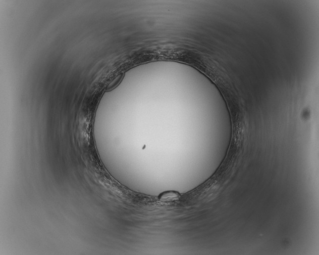 X0000115431010200911181455