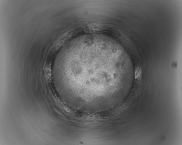 X0000115431011200911181455