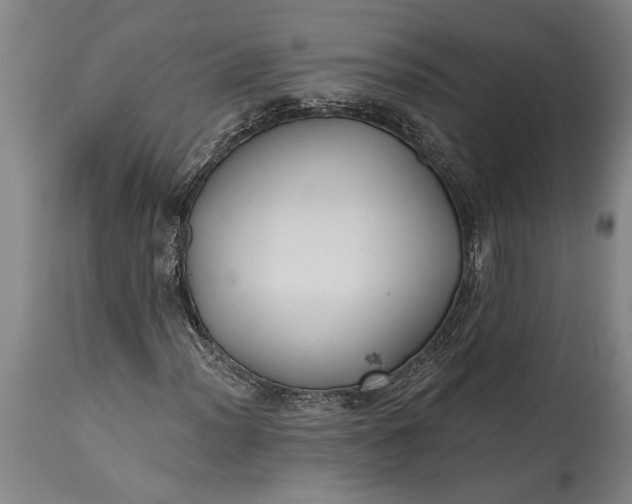 X0000115431012200911181455