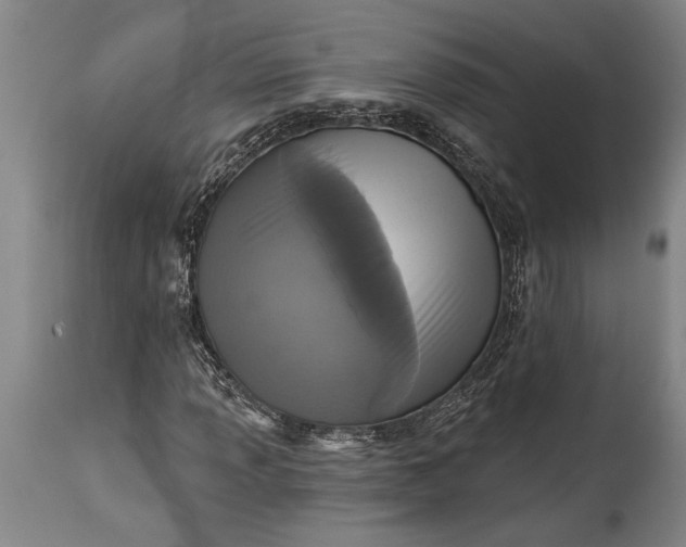 X0000115431013200911181455