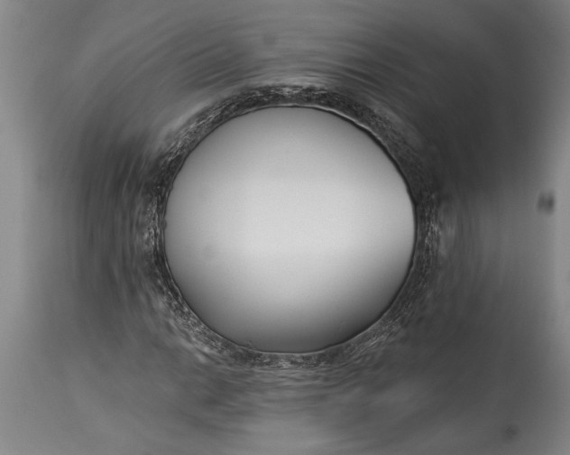 X0000115431014200911181455